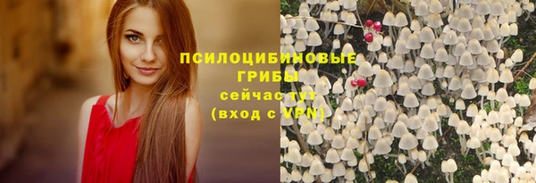 герыч Бугульма
