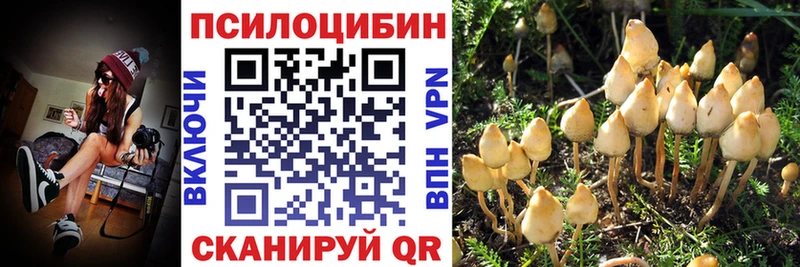 Псилоцибиновые грибы MAGIC MUSHROOMS  blacksprut рабочий сайт  Кореновск 